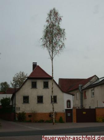 Fehlendes Bild