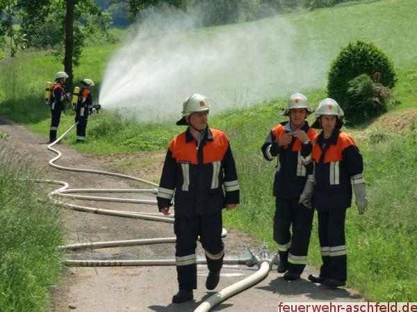 Fehlendes Bild