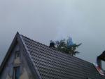 Fehlendes Bild