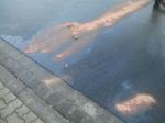 Fehlendes Bild