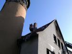 Fehlendes Bild